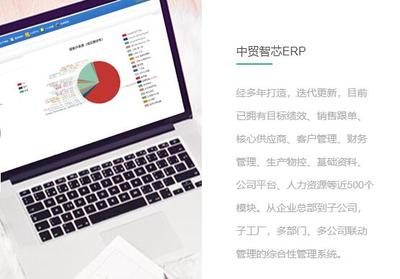 企業管理軟件開發